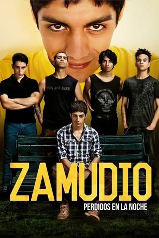 Zamudio poster
