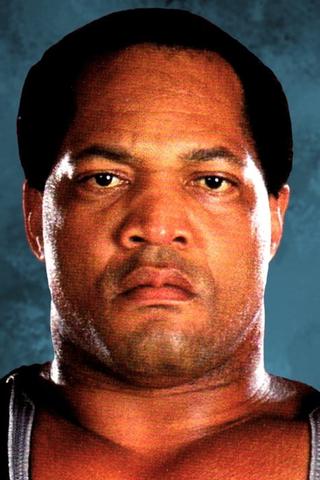 Ron Simmons pic