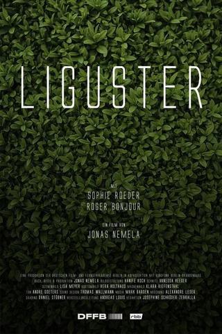Liguster poster