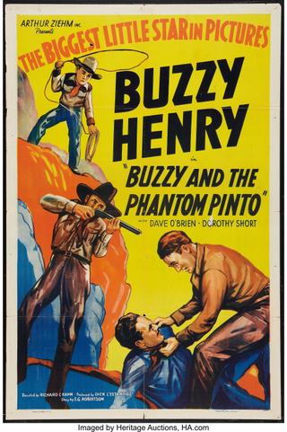Buzzy and the Phantom Pinto poster