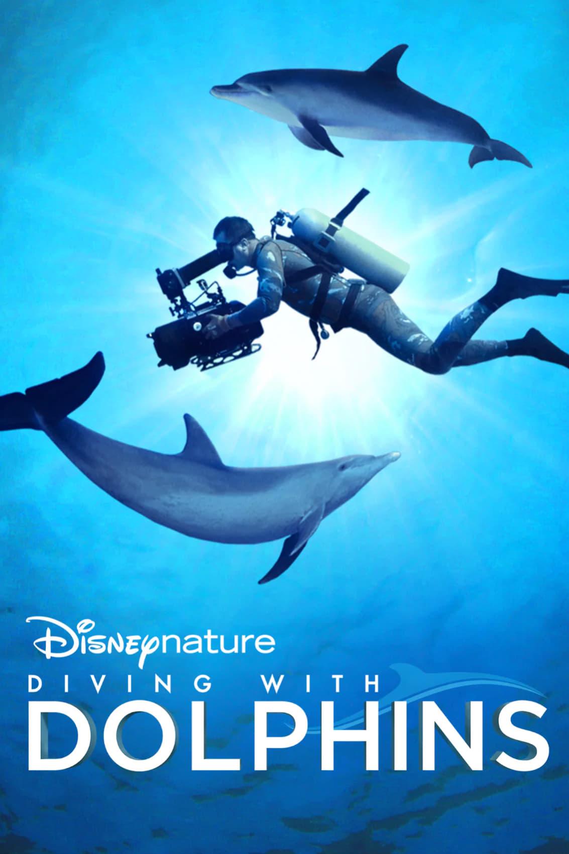 Diving with Dolphins poster