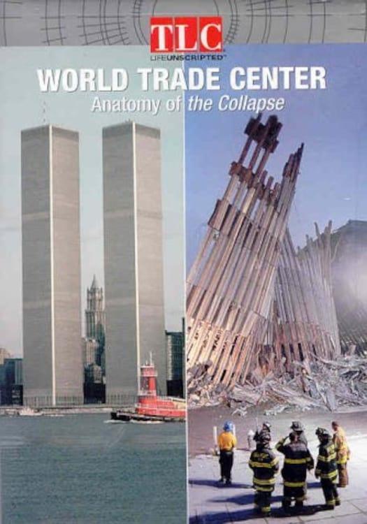 World Trade Center: Anatomy of the Collapse poster