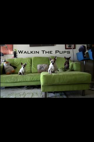 Walkin The Pups poster