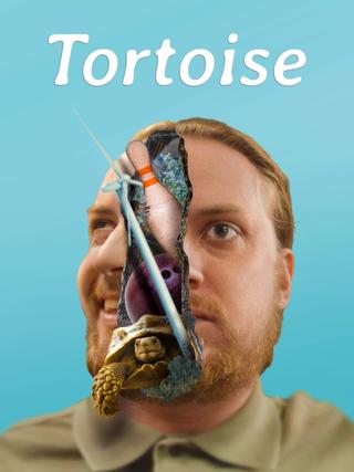 Tortoise poster