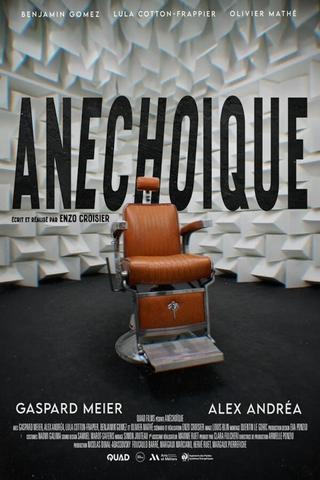 Anechoic poster