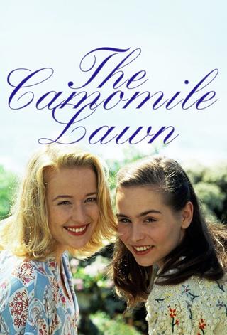 The Camomile Lawn poster