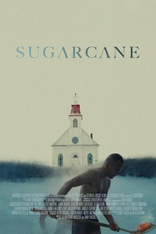 Sugarcane poster