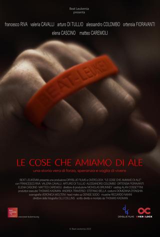 Le cose che amiamo di Ale poster