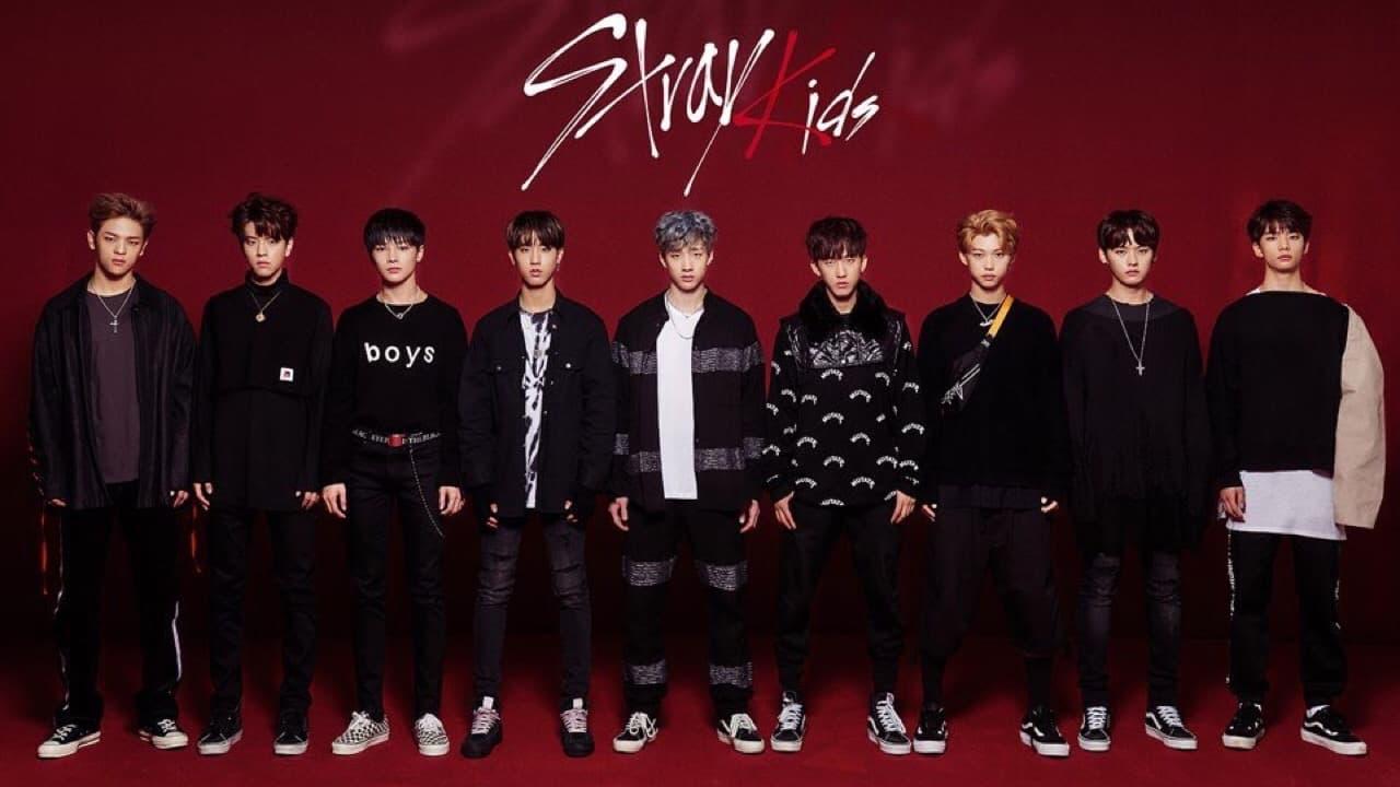 Stray Kids backdrop