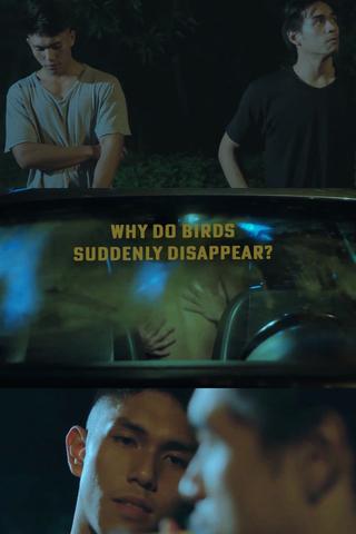 Why Do Birds Suddenly Disappear poster