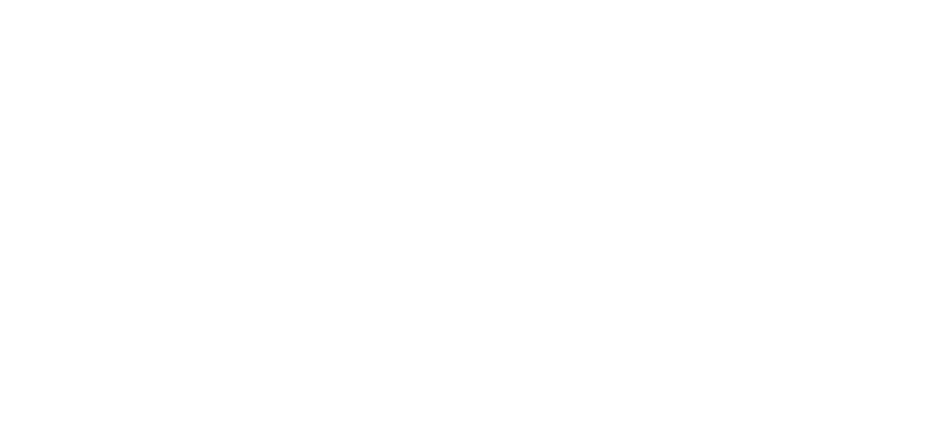 Davy Crockett, King of the Wild Frontier logo