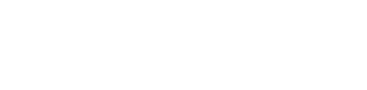 Amy Tan: Unintended Memoir logo