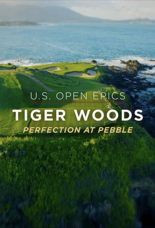 U.S. Open Epics: Tiger Woods: Perfection at Pebble Beach poster