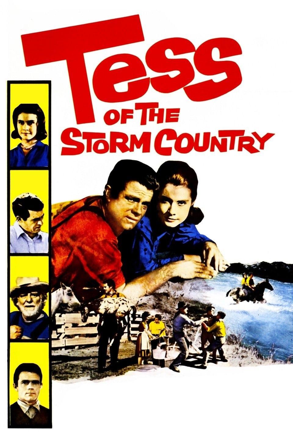 Tess of the Storm Country poster