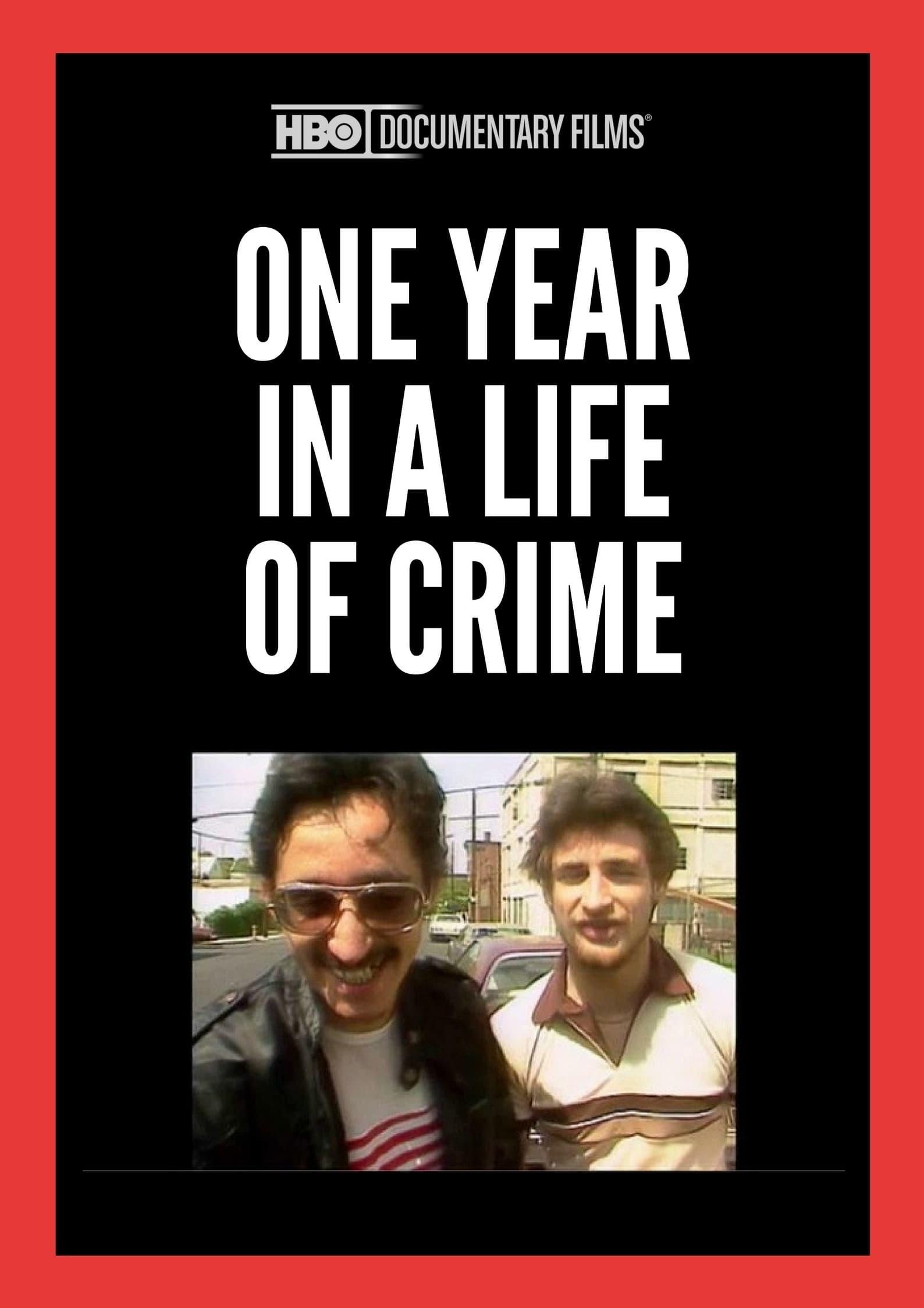 One Year in a Life of Crime poster