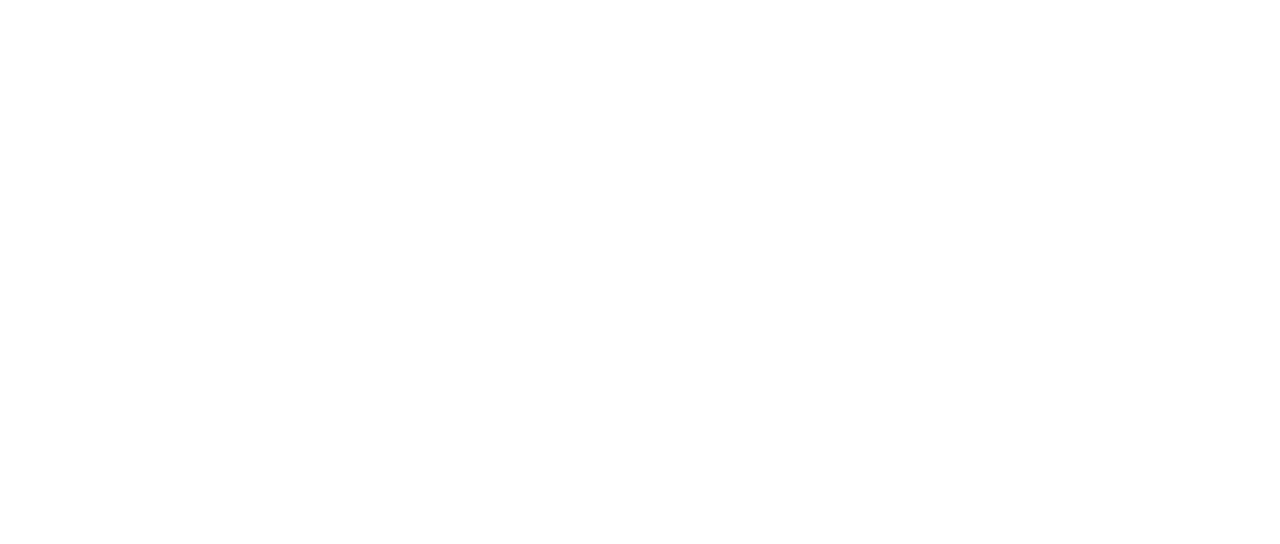 Night Drive logo