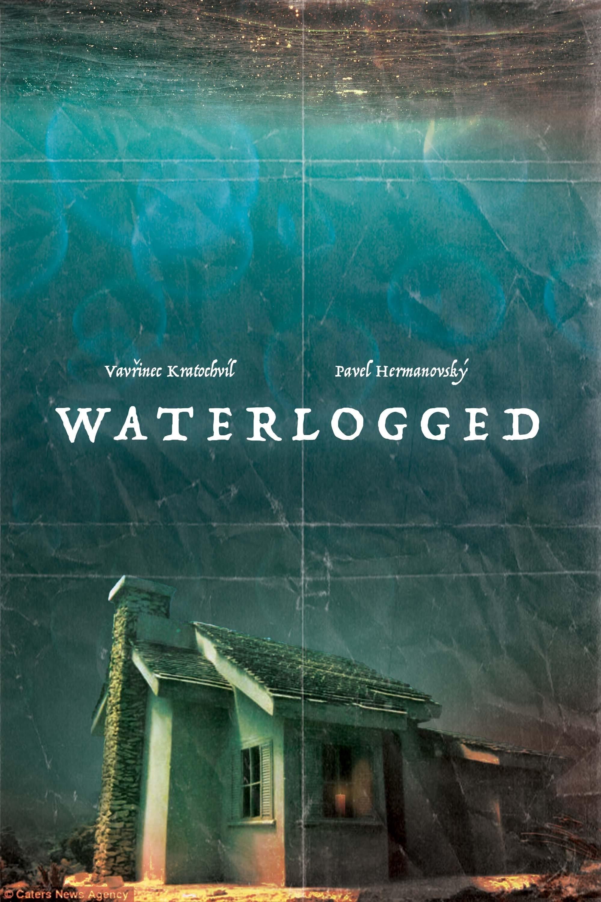 Waterlogged poster