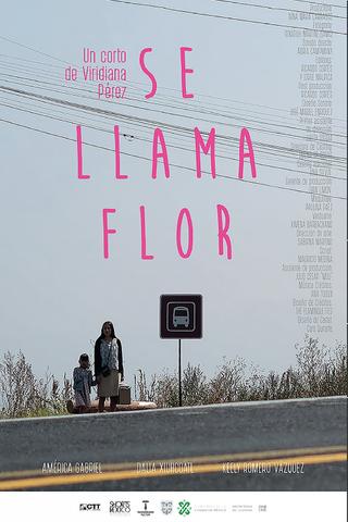 Her Name Is Flor poster