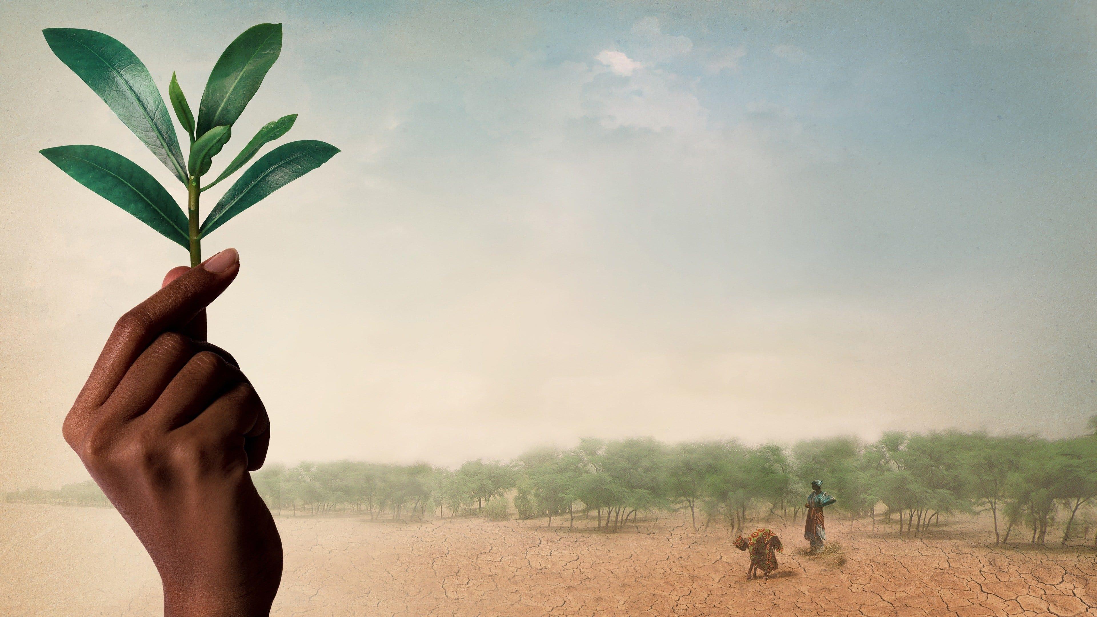 The Great Green Wall backdrop