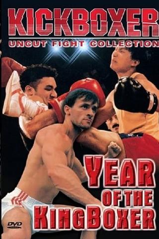 Year of the Kingboxer poster