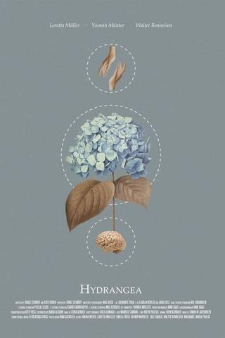 Hydrangea poster