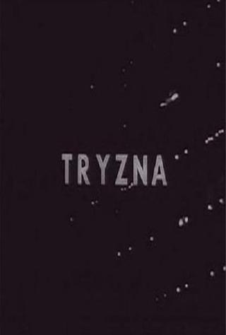 Tryzna poster