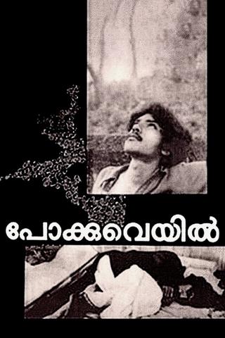 Pokkuveyil poster