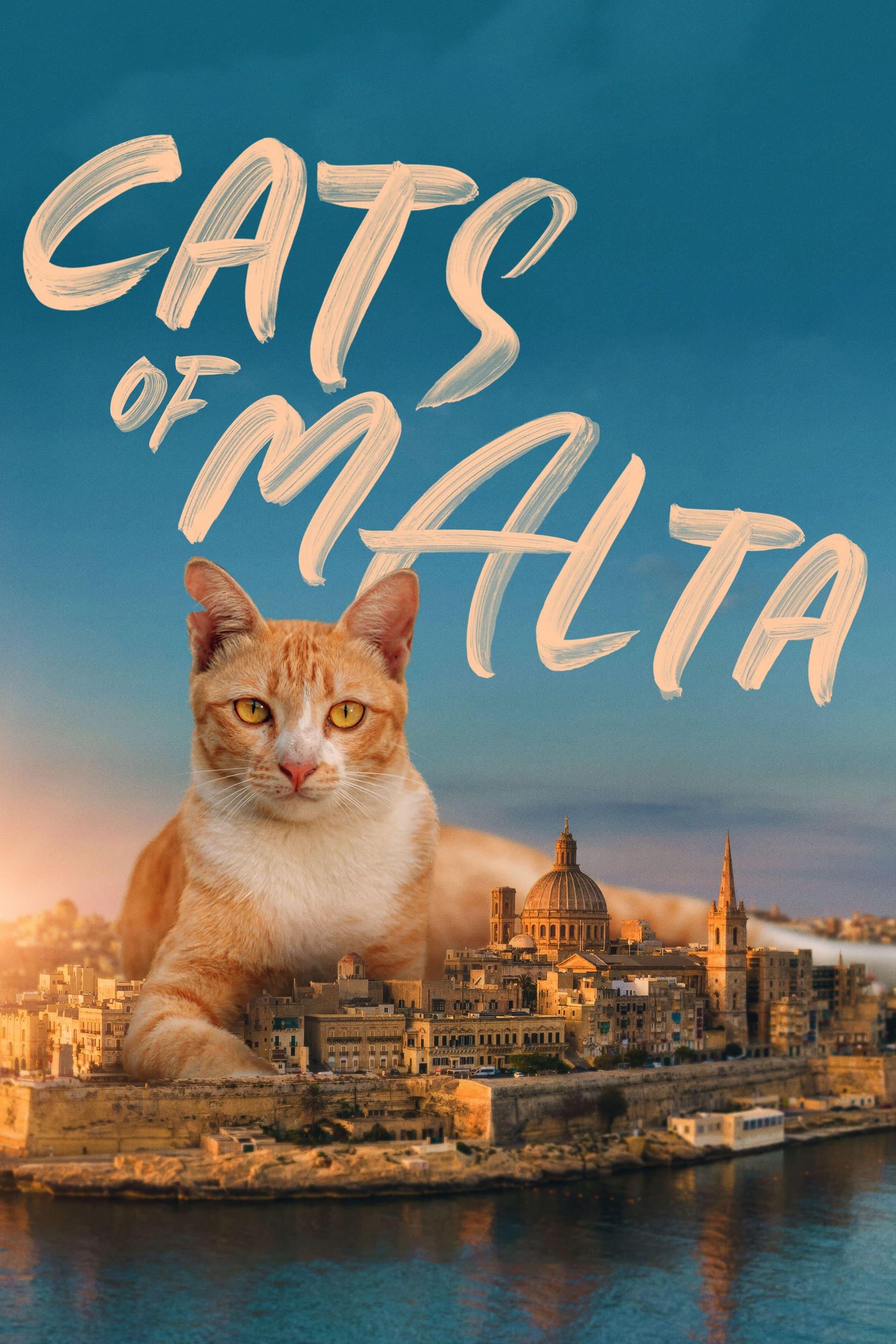 Cats of Malta poster