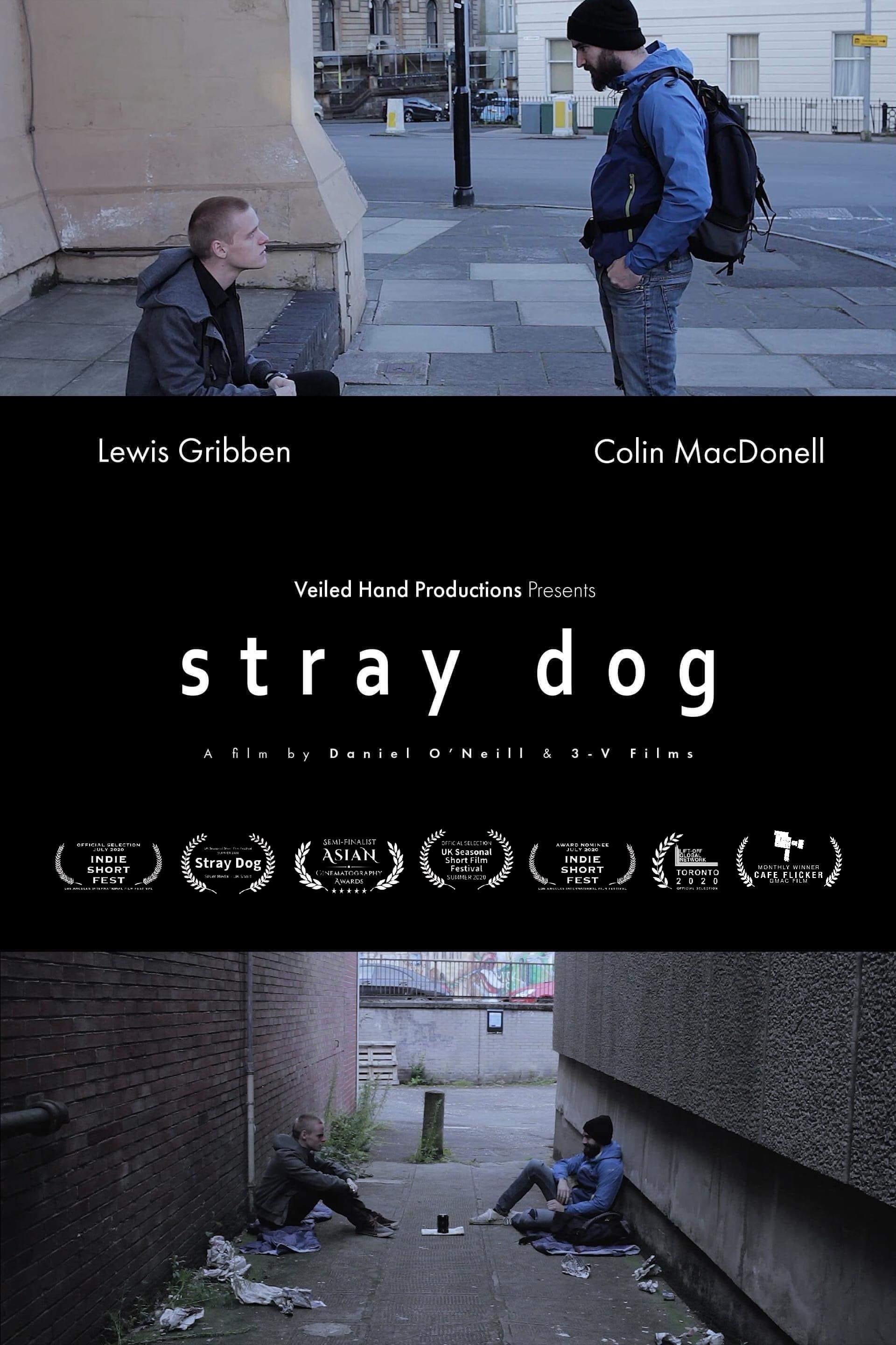 Stray Dog poster
