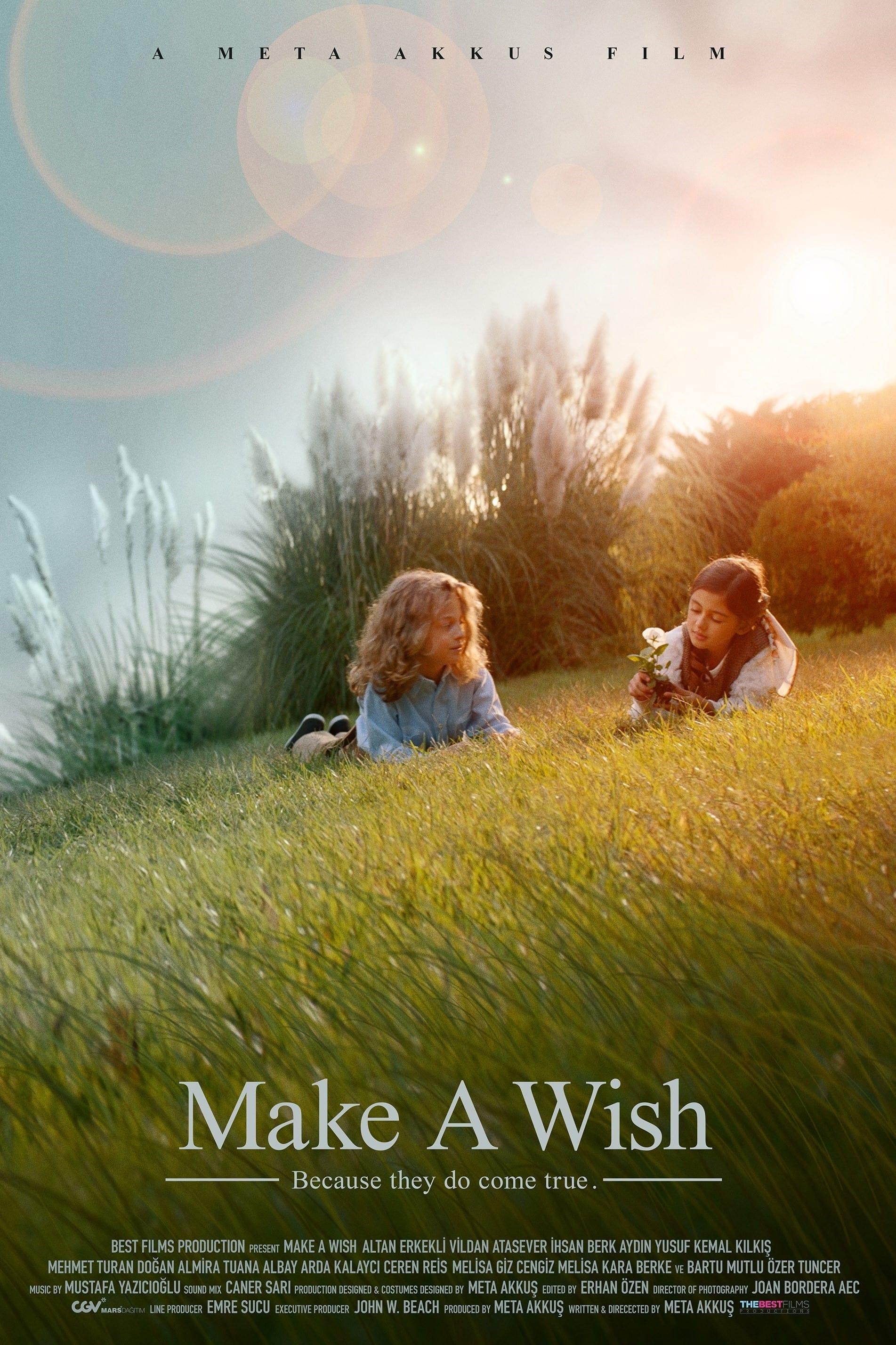 Make a Wish poster