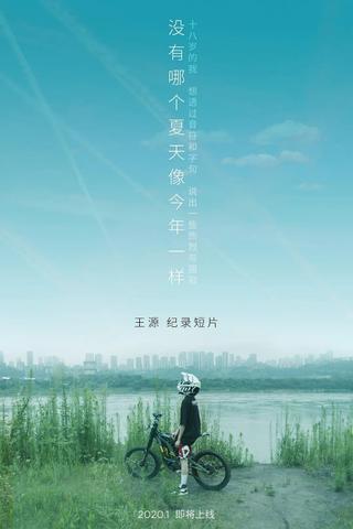 没有哪个夏天像今年一样 poster