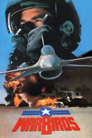 Warbirds poster