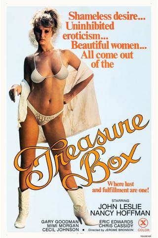The Treasure Box poster