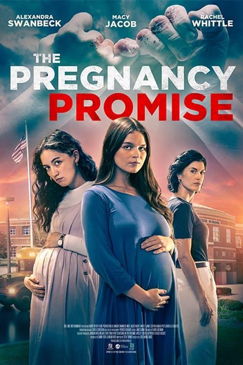 The Pregnancy Promise poster