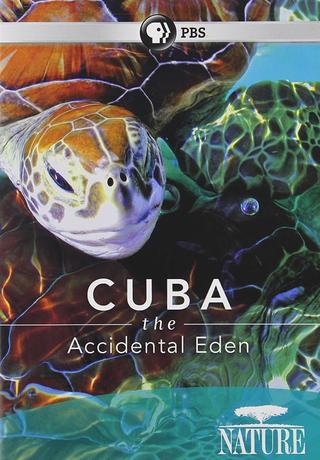 Cuba: The Accidental Eden poster