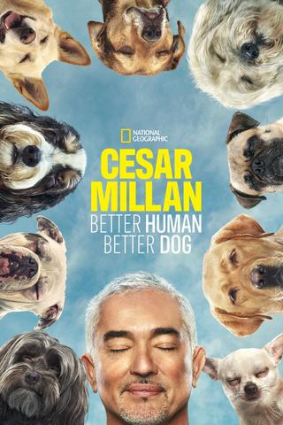 Cesar Millan: Better Human, Better Dog poster