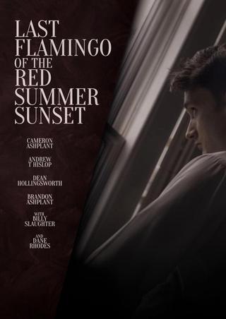 Last Flamingo of the Red Summer Sunset poster