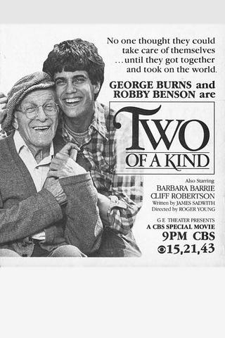 Two of a Kind poster