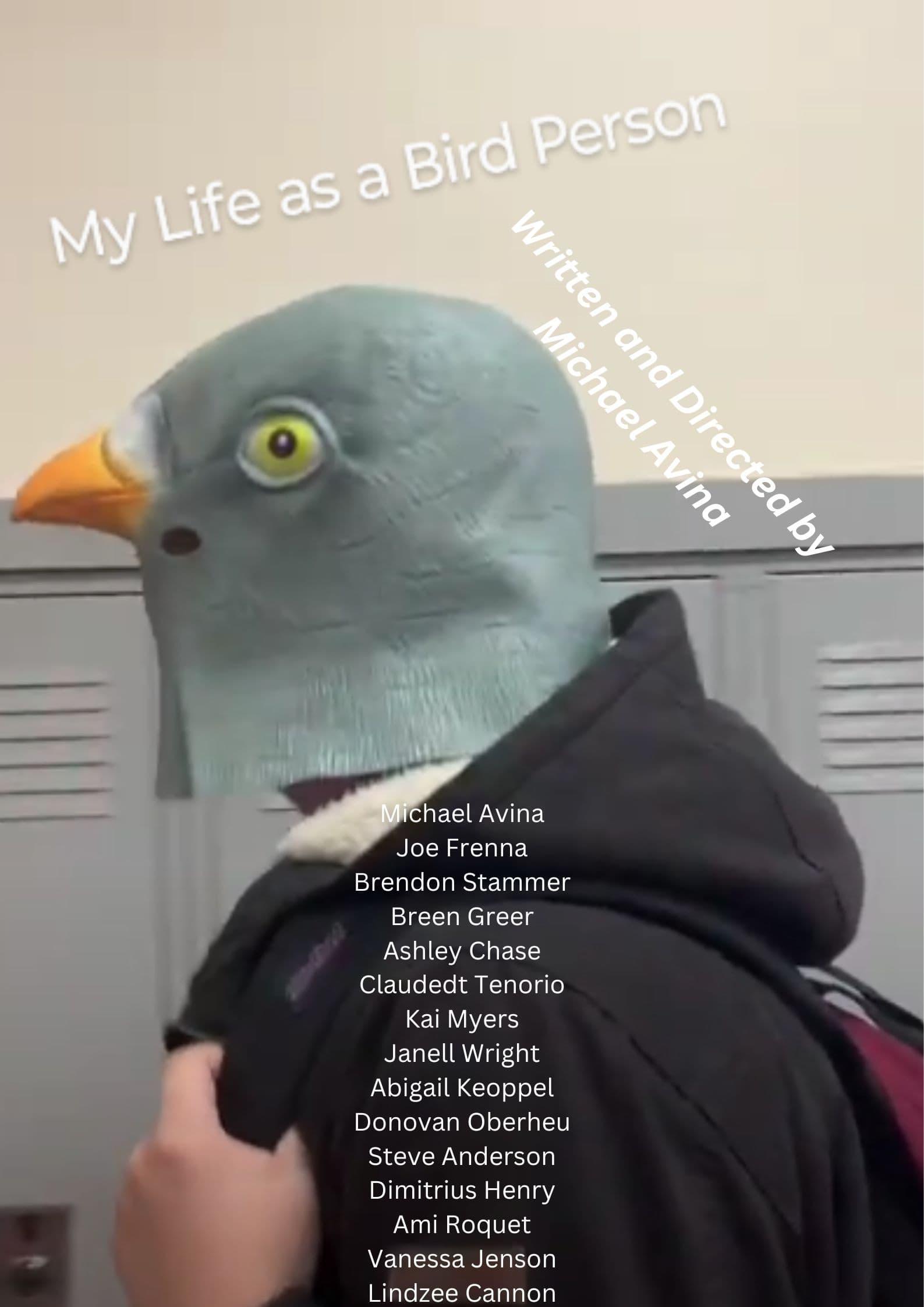 My Life as a Bird Person (Short Film by Michael Avina) poster