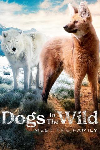 Dogs in the Wild: Meet the Family poster