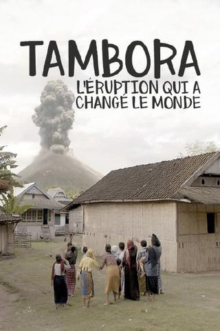 The Volcano That Changed The World poster