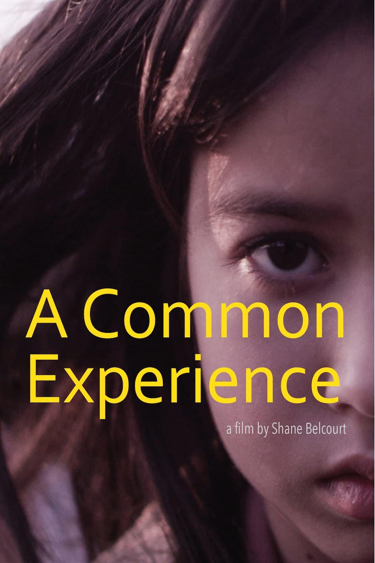 A Common Experience poster