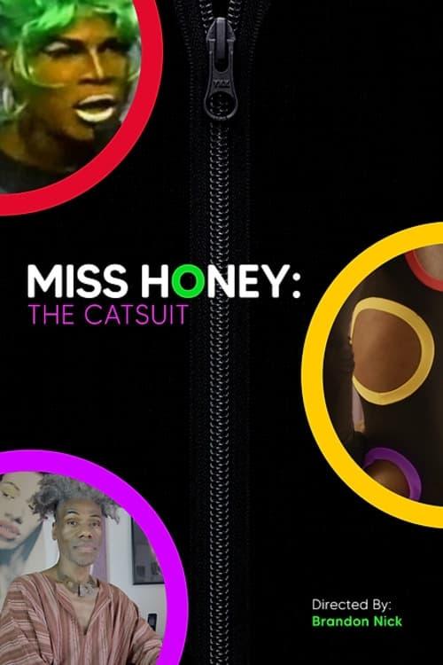 Miss Honey: The Catsuit poster