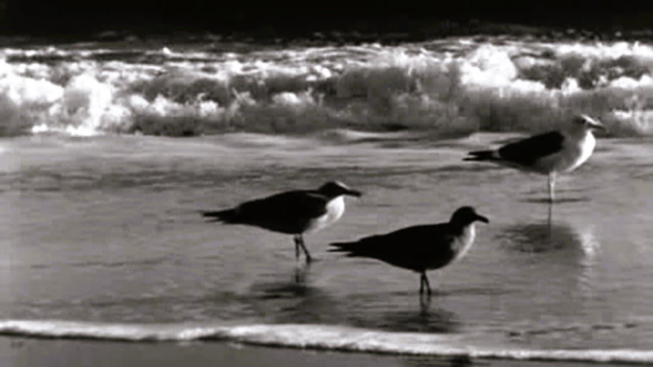 Moods of the Sea backdrop