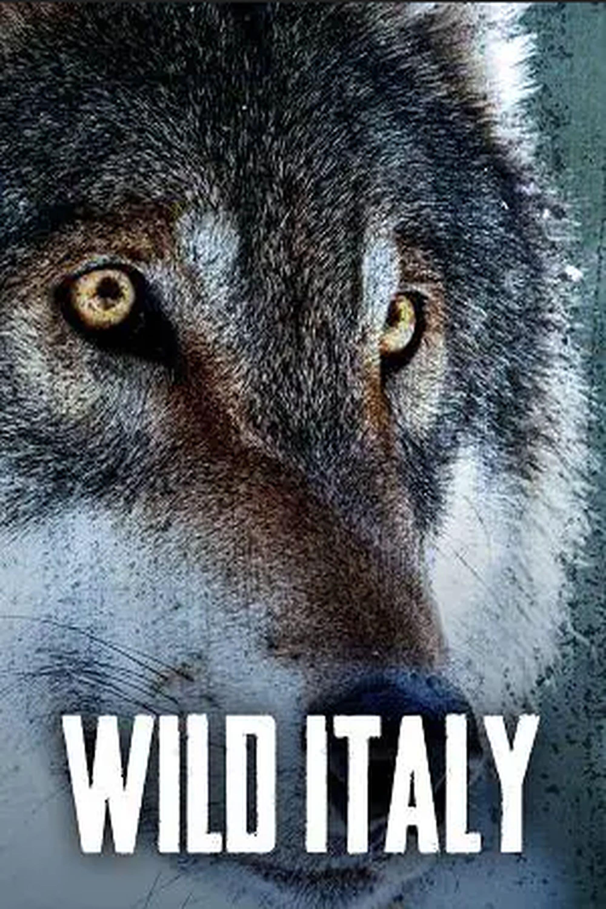 Wild Italy poster