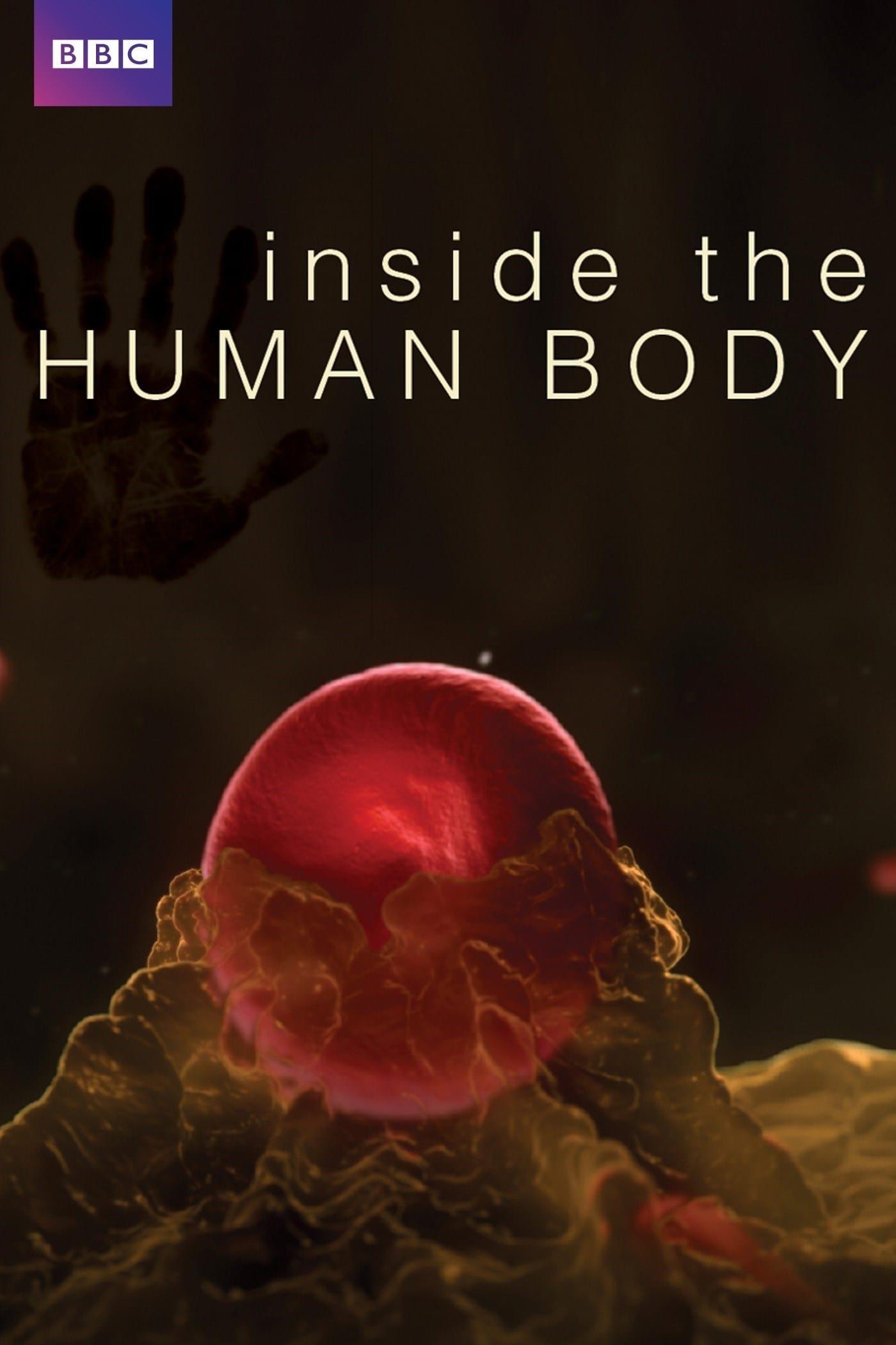 Inside the Human Body poster