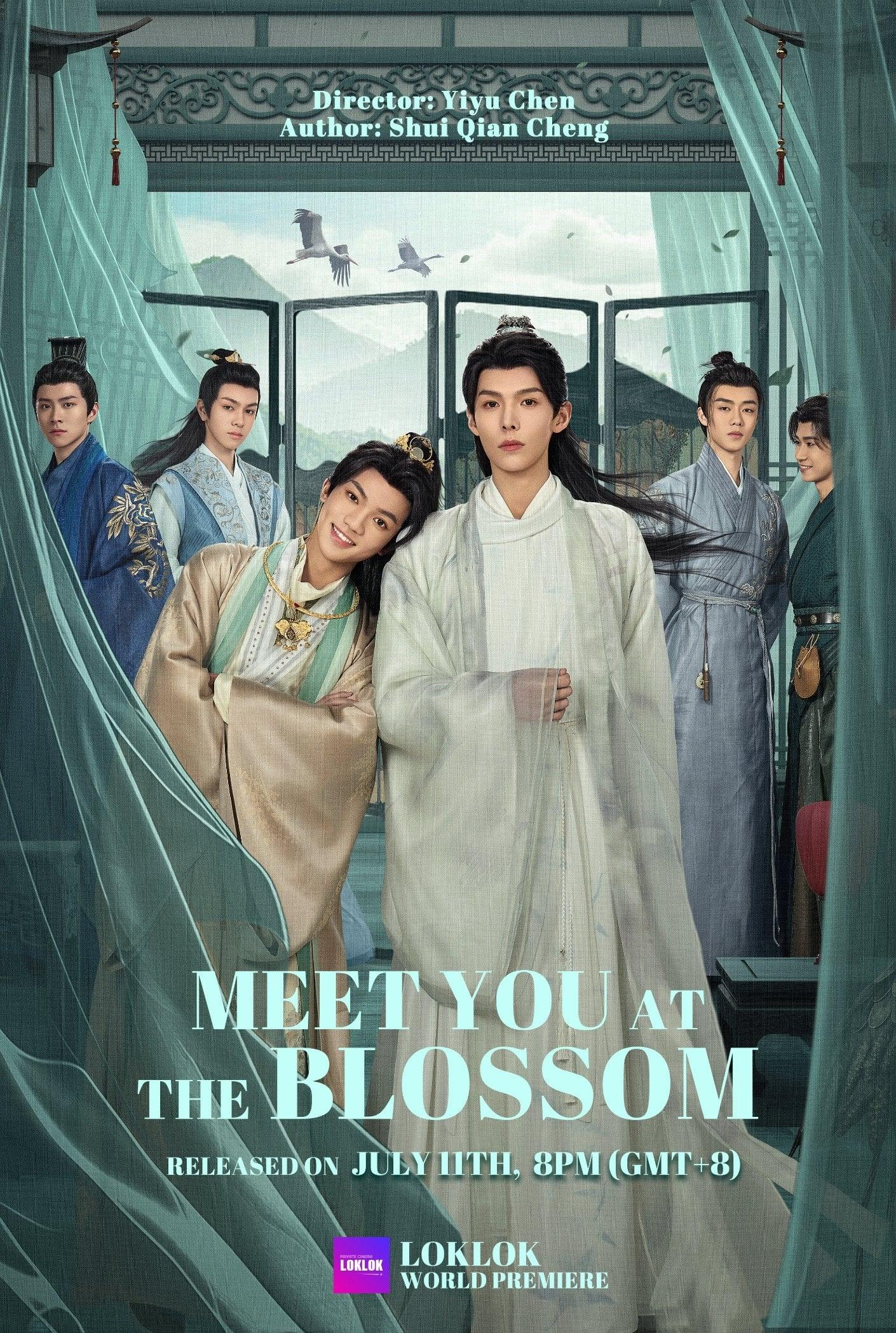 Meet You at the Blossom poster