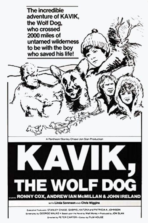 The Courage of Kavik, the Wolf Dog poster