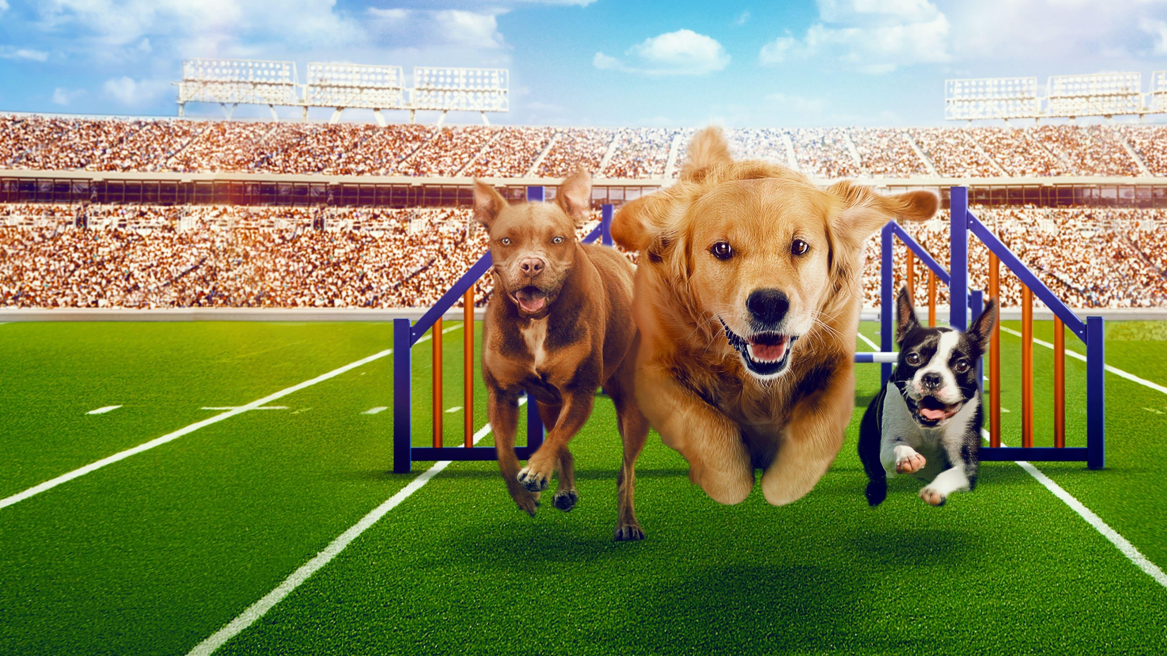 Puppy Bowl Presents: The Dog Games backdrop