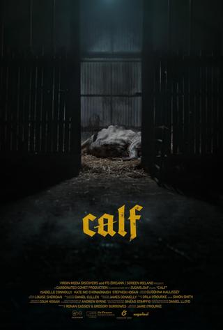 Calf poster